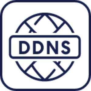 Dynamic DNS Icon